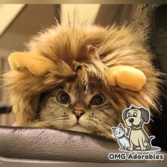 OMG Adorables Other - Omg Adorables Lion Mane Pullover Wig with Ears for Cats (Large)